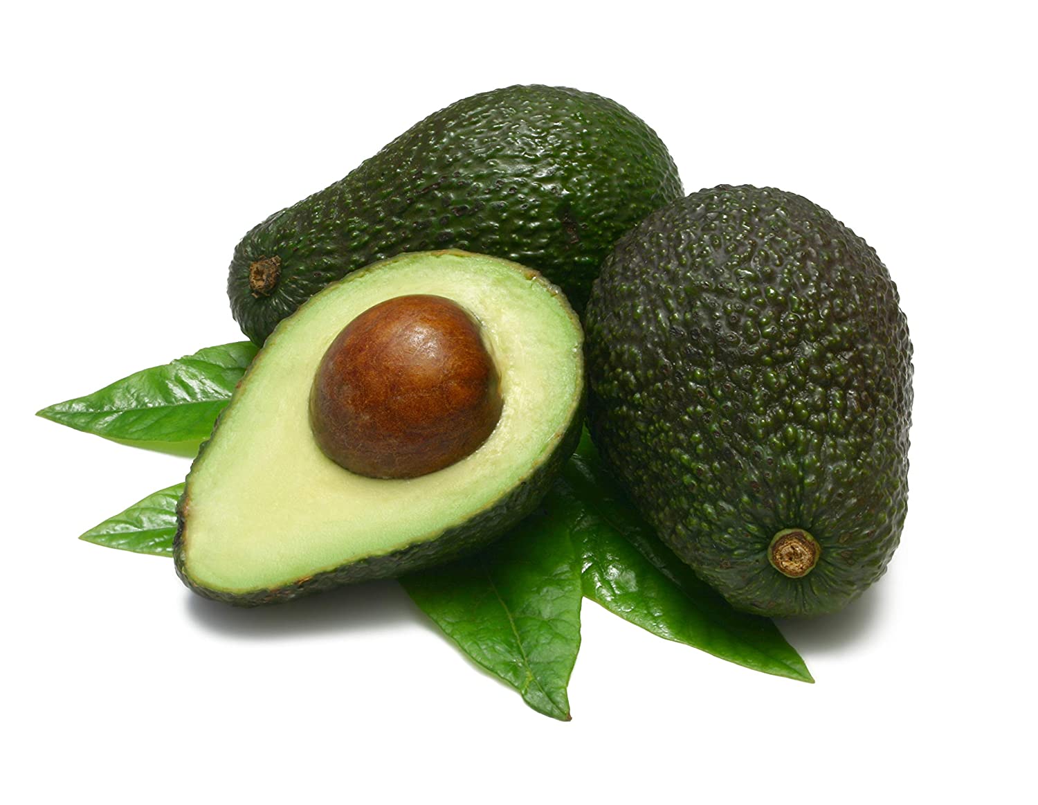 Avocado image - Agro trade for import & export [Mahdy Fresh - since 2000]