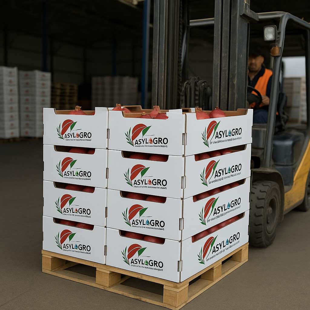 Fruits & vegetables image - Home Page - Asylagro trade for import & export [Company Fresh - since 2000]